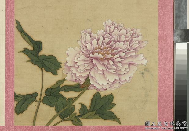 清蔣廷錫花卉　冊　牡丹